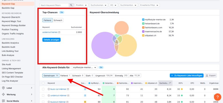 Auswertung mit Semrush´s Keyword Gap